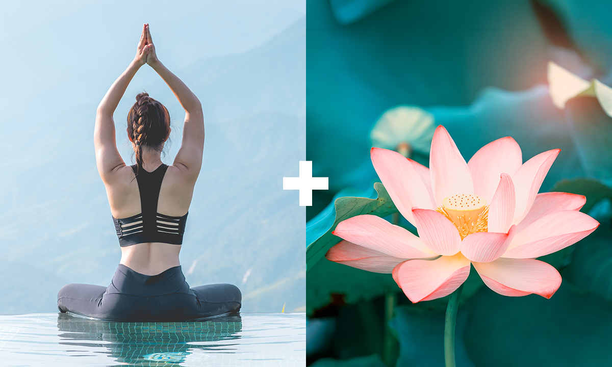 L'Charme case study - LOTUS